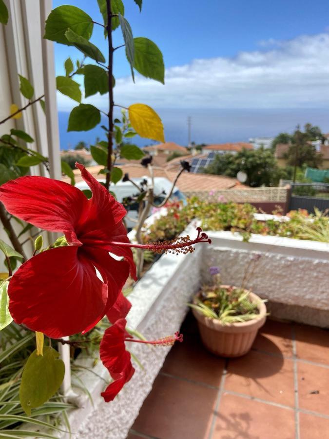 Guanche Bay Apartment Santa Cruz de Tenerife Bagian luar foto