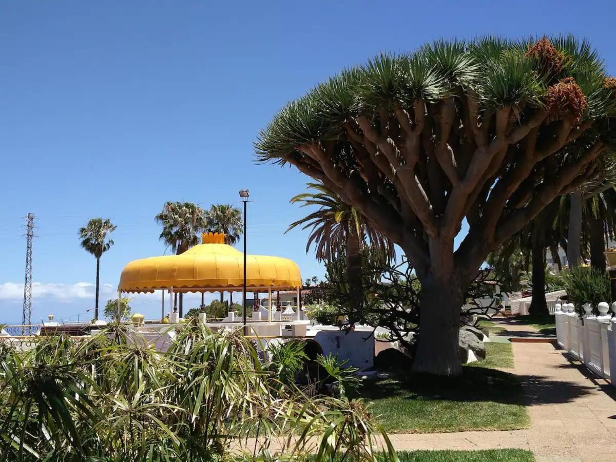Guanche Bay Apartment Santa Cruz de Tenerife Bagian luar foto